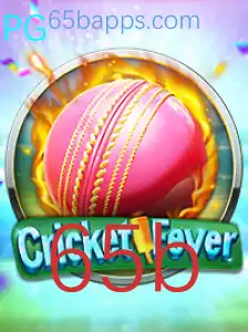 Desvendando o Impactante Mundo do CricketFever