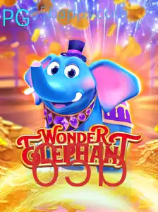 Descubra o Fascinante Mundo de WonderElephant